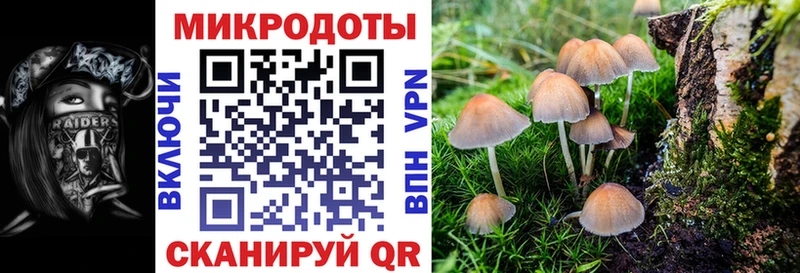купить закладку Буинск Галлюциногенные грибы мицелий